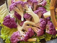 -滇野云南野生菌餐厅(陕西南路店)