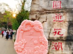 -昆明动物园