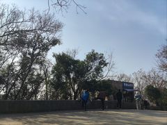 -紫金山山顶公园
