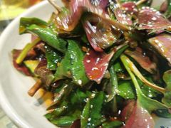 凉拌折耳根-灶东家民间菜(回兴店)