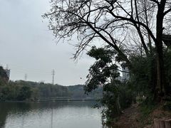 -重庆彩云湖湿地公园