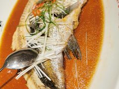 翘嘴鲌鱼-丹江渔村(望京店)