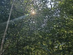 -景笙毋米粥底火锅(20年老字号)