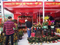 -深圳市罗湖体育馆