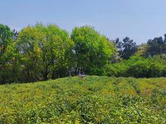-虞山风景区