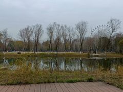 -洋湖国家湿地公园