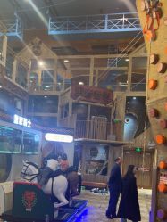 -卡通尼·Safari非洲探索乐园·生日会(金桥国际商业广场店)