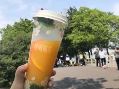 -鸡鸣赐茶(鸡鸣寺路店)