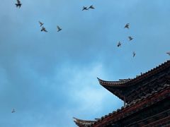 -迪庆藏族自治州博物馆