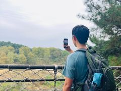 -铁山坪森林公园