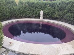 -大连金石滩绿发温泉假日酒店