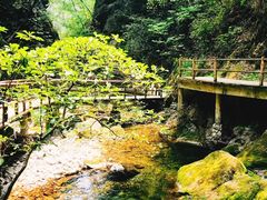 -牛背梁国家森林公园