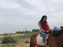 -水洞沟旅游区
