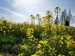 -南京市无想山景区