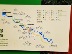 -莫里热带雨林景区