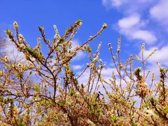 -新塘水果乐园(东洲大道店)