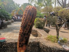 -西双版纳傣族园