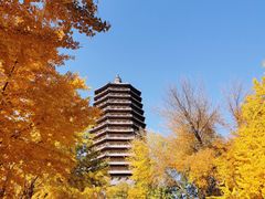 -玲珑塔公园