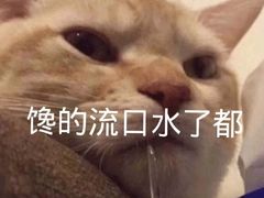 -鑫旺旺汤包(总店)