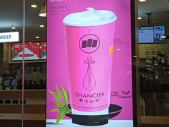 -雾与山茶(大禹城店)