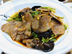 牛肉拌秋耳-喜家德虾仁水饺(南山书城店)