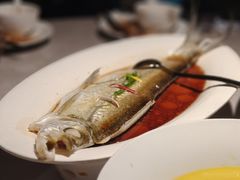-醉庐·新上海菜(南京西路店)