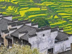 -婺源风景区