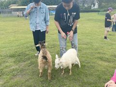 -上方山森林动物世界