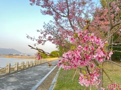 -福建鲤鱼洲酒店