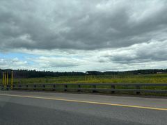 -谢列梅捷沃国际机场