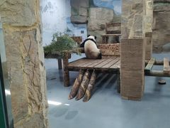 -无锡动物园·太湖欢乐园