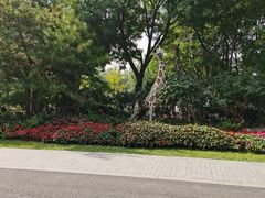 -太原动物园