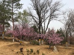 -鹫峰国家森林公园