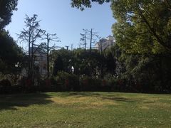 -上海交通大学医学院附属瑞金医院(总院)