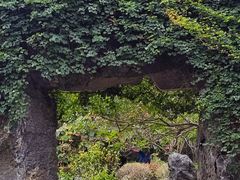 -东莞植物园