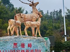 -长沙黑麋峰国家森林公园