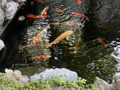 -鲤院·新中式美学·庭院餐厅(夫子庙店)