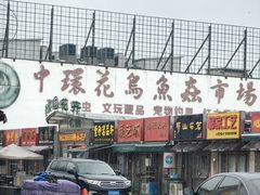 -中环花鸟鱼虫市场