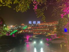-枇杷园食为鲜火锅(南山店)