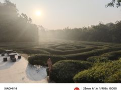 -大屏嶂森林公园