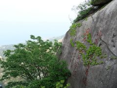 -崂山仰口游览区