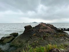 -上海市保健医疗中心