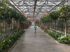 -南宫五洲植物乐园