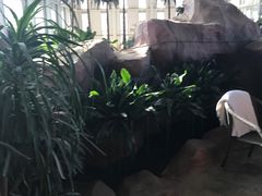 -中家鑫园温泉酒店鑫悦汤泉