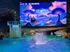 -海合安武汉极地海洋公园