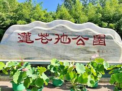 -莲花池公园