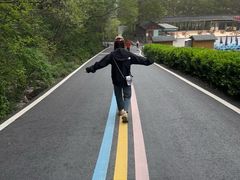-牛背梁国家森林公园