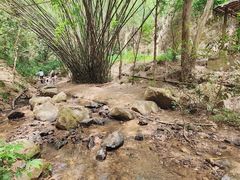 -滴水岩森林公园