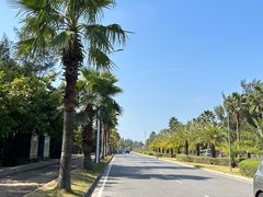 -红树林天天赶海