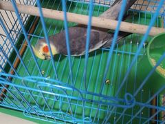 -天津前进宠物医院(前进道店)